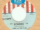 LORD AND THE FLIES:Echoes-Come What May-U.S. U.S.A. DJ