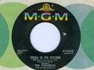 THE STANDELLS Zebra In The Kitchen - Someday You'll Cry ORIGINAL 1965 MGM 45