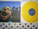 Have Heart YELLOW STSATS 1st press trapped under ice foundation bane champion X