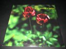 LILYS - IN THE PRESENCE OF NOTHING LP SLUMBERLAND SPINART OOP RARE SHOEGAZE