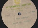 Gloria Gaynor Survive Acetate Warren G Remix 12:10 1Sided 12