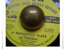 The Cherokees A Wondrous Place GARAGE SOUL MOD HEAR 45