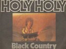 7'':David Bowie,Holy Holy(RARE VERSION) (Mercury)