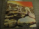 LED ZEPPELIN  Houses of the Holy  Classic Records 180 Gram Pressing