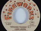 Modern Soul 45 LARRY BROWN Breaking Training Pt.1 FIREWORKS HEAR