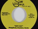 Modern Soul Boogie 45 SUN SECT She's Hot SUN SECT HEAR