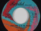 Northern Soul 45 J.J. BARNES Our Love Is In The Pocket REVILOT HEAR