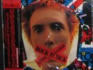 US SELLER Sex Pistols The Swindle Continues 2 LP Japan picture disc