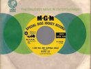 MAMIE LEE I Can Feel Him Slipping Away ORIGINAL 1967 US MGM DJ 45 NORTHERN SOUL