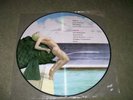 MADONNA L.P PICTURE DISC