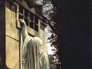 Dead Can Dance – Within The Realm Of A Dying Sun