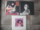 Konvolut KATE BUSH LP 12