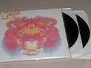 THE BLACK CROWES - lions 2LP EX+