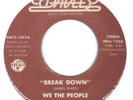 RARE FUNK   WE THE PEOPLE   BREAK DOWN   BW   ON THE WAY TO L.A.    BREAKS