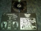 Drowning the Light - A pact with madness LP lim. 222
