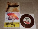 The Wonder Years/Fallen From the Sky UNDER THE INFLUENCE brown 7