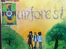 SUNFOREST - SOUND OF SUNFOREST - MINT 1969 DERAM NOVA PRESSING PSYCH PROG GEM