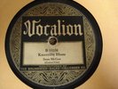 SAM MCGEE Knoxville Blues / If I Could Blot Out The Past VOCALION 15326