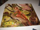Music For Big Dame Hunters LP Sexy Cheesecake RED VINYL