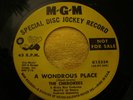 The Cherokees A Wondrous Place GARAGE SOUL MOD 45 RARE RARE BEAT
