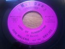 DON MALENA & DRY ICE land of summertime  GARAGE FUZZ PSYCH  MONSTER 45