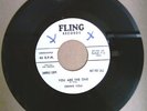 DENNIS VOLK You Are The One 45 FLING PROMO RARE NEBRASKA ROCKABILLY 1959