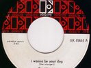 Garage Punk (Canada 45) - THE STOOGES (Iggy Pop) - 1969 / I Wanna Be Your Dog