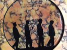 ECHO AND THE BUNNYMEN SONGS TO LEARN AND SING  PICTURE DISC ALBUM