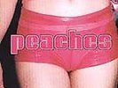 Peaches - The Teaches Of Peaches RARE Double Vinyl