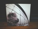 PEARL JAM Vs. Versus   Orig 1993 US LP  EX
