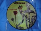 NIRVANA INCESTICIDE LP PICTURE DISC RARE