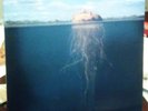 The Mars Volta De-Loused in the Comatorium RARE DOUBLE LP