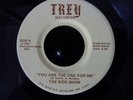 THE SIDE SHOW 'YOU ARE THE ONE FOR ME / LONELY GIRL' RARE MODERN SOUL 45