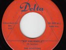 DEVOTIONS - Delta 1001 - Rip Van Winkle / For Sentimental Reasons - DOO-WOP 45