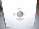 Hale & hushabyes/Beach Boys WLP 45 yes, sir, that's my baby on apogee #104