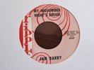 JAN BERRY Tomorrow's Teardrops My Midsummer Night's Dream Ripple Jan & Dean