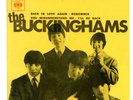ThE BUCKINGHAMS : 7