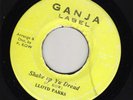 Lloyd parks SHAKE UP YU DREAD & SHAKE UP DUBWISE Kow All Stars Classic A1 LISTEN