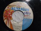 SOUL IN-PRESSIONS ZING/GIRL DON'T WORRY Rare Detroit/Highland Park Funk/Soul 45