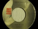 Brute Force 