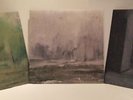 Leyland Kirby   Sadly the Future (6Lp) All 3 x Double Vinyls   Mint & Unplayed