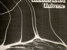 UNOBSTRUCTED UNIVERSE 1976 cosmic psych jazz spacey funk rarity ADAMO label