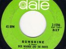 HEAR Dick Wagner And The Frosts-Sunshine '67 Awesome Detroit punkadelia