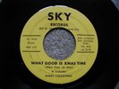  BOBBY CALLENDER WHAT GOOD IS XMAS TIME RARE TEEN 