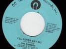 SUMMITS I'll Never Say No Sleepwalking RARE SOUL FUNK 45 * Listen KILLER M- Copy
