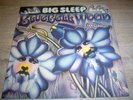 Big Sleep   Blue Bell Wood   Original Global Philips von 1972  MINT