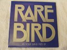 RARE BIRD 