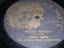 JUNIOR BYLES Pitchy Patchy UK BLACK WAX ROOTS DUBWIZE REVERSE DISCO