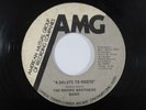 Funk 45 THE MOORE BROTHERS BAND A Salute To Roots on AMG