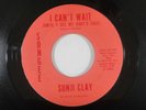 Northern Soul 45 SONJI CLAY I Can't Wait Until I See My Baby's Face on Songee
